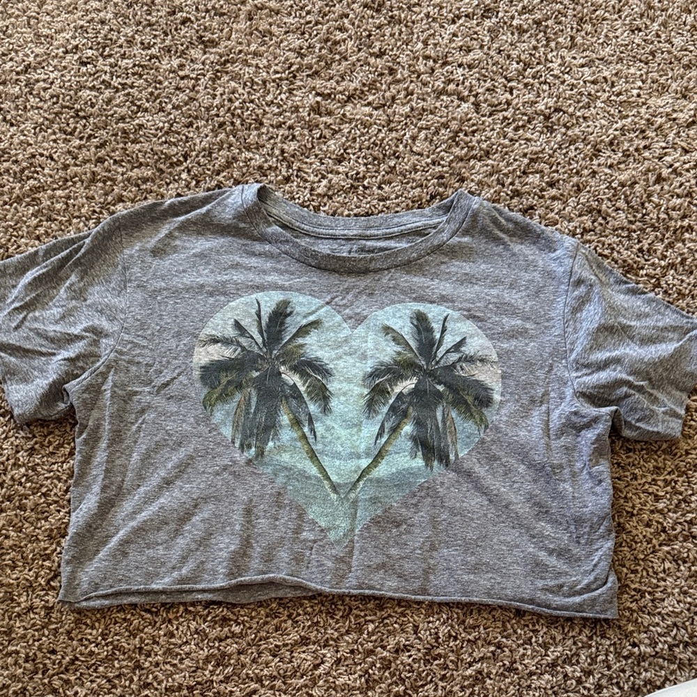 Billabong Heather Gray Crop Top